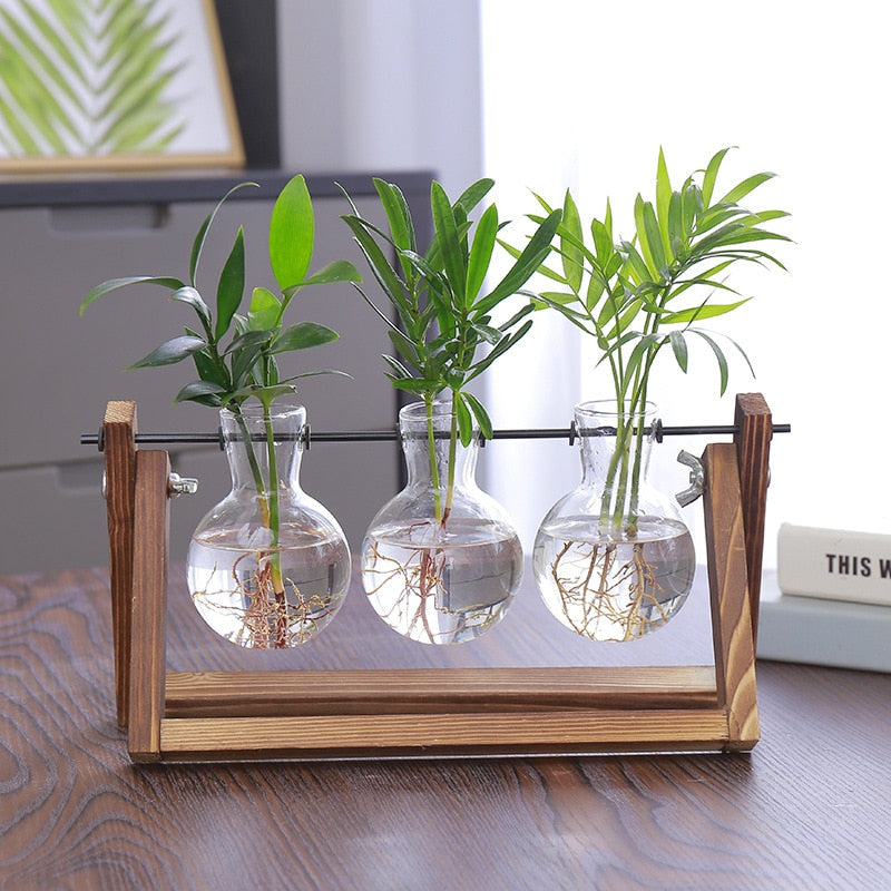 Terrarium Creative Hydroponic Plant Transparent Vase Wooden Frame